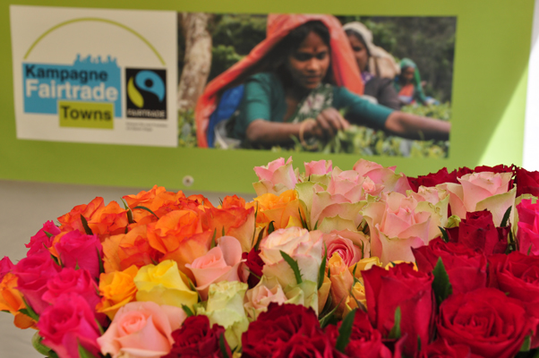 Bild zur Zeit nicht verfügbar